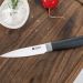 Zwilling Now S Black Schil- en garneermes 10cm