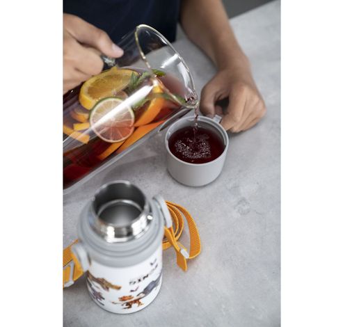 Thermo Bouteille isotherme avec tasse et sangle de transport - 380 ml - Dino  Zwilling