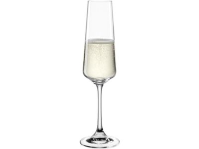 Close-up Van Vrienden Die Rode Wijn En Champagneglazen in Het Close-up Van Vrienden Die Rode Wijn En Champagneglazen in Het
