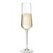 Leonardo Puccini champagneglas 280ml set van 6