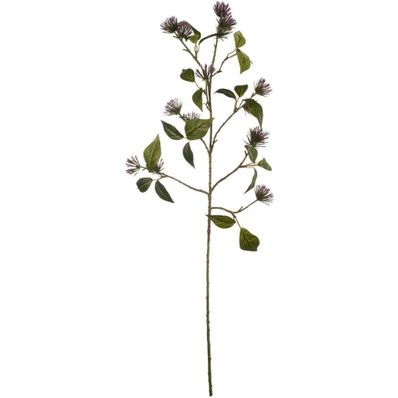 TWIG PURPLE L68CM 66635444 