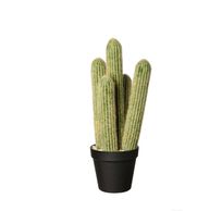 Cactus decoratief 39x12,5x11cm 