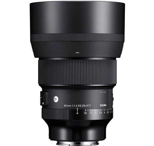 85mm f/1.4 DG DN Art SE  Sigma