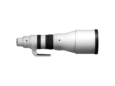 300-600mm F4 DG OS Sports L-Mount