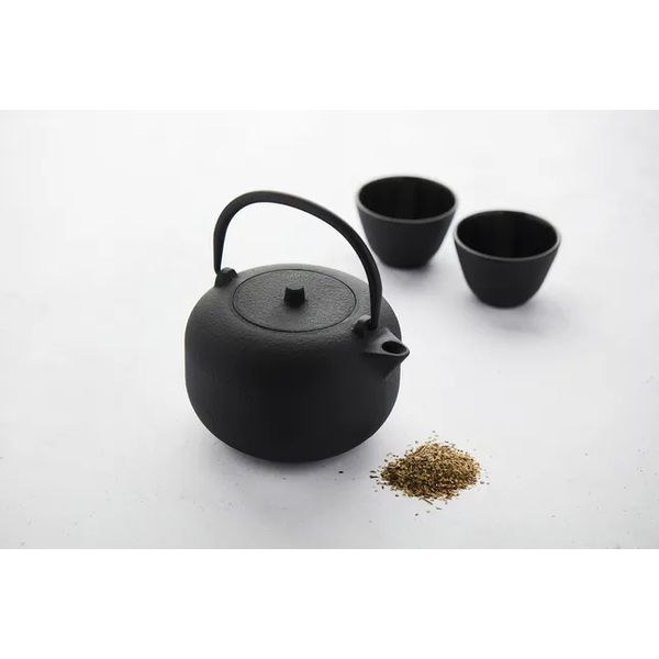 theepot uit gietijzer 900ml 