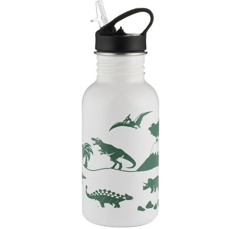 Pure bouteille en inox qui change de couleur Dinosaur blanc/vert 550ml  Typhoon