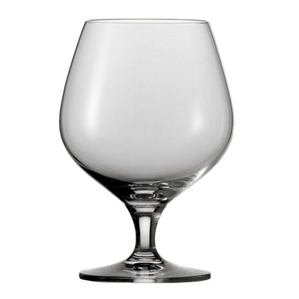 Schott Zwiesel Mondial cognacglas 47 0,51L