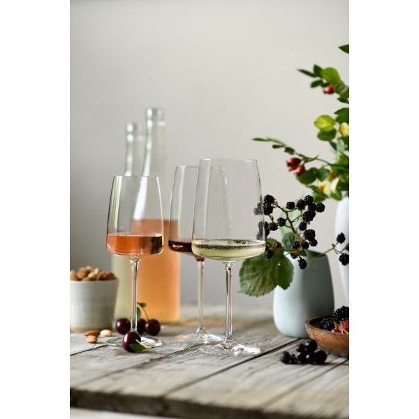 Schott Zwiesel Vivid Senses wijnglas Krachtig & spicy