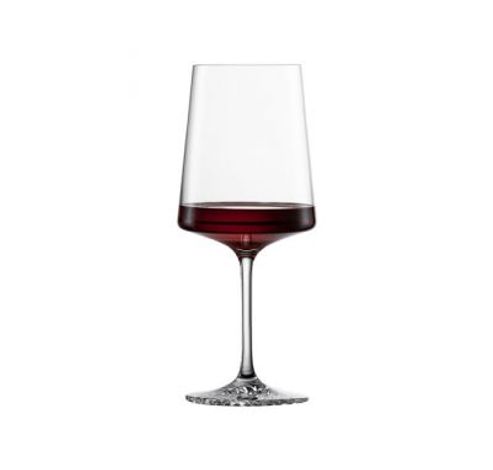 Verre à vin polyvalent Echo MP 0  Schott Zwiesel