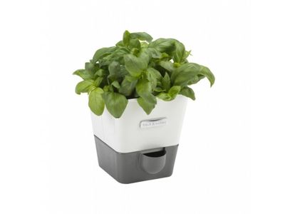 Kruidenpot met waterreservoir