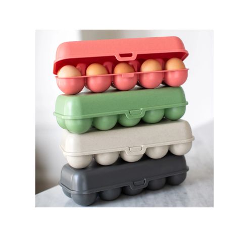 EGGS TO GO Eierdoos nature leaf green  Koziol