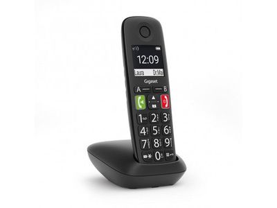 E290 Dect telefoon