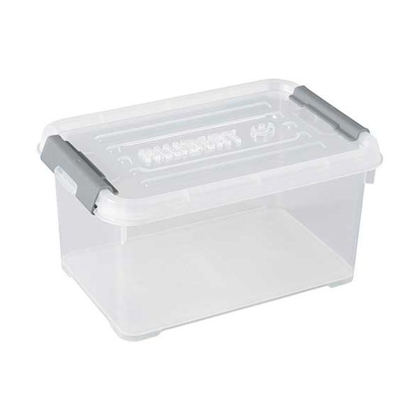 Handy Plus Box 6l 29.4x19.4x15cm Transpa Rant 