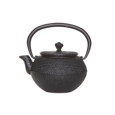 Shinto Black Theepot 0,35l Gietijzer  Filter Tsp69  Cosy & Trendy