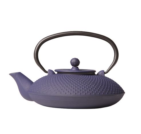 Nara Theepot Blauw Gietijzer 800ml Met Filter Tsp69  Cosy & Trendy