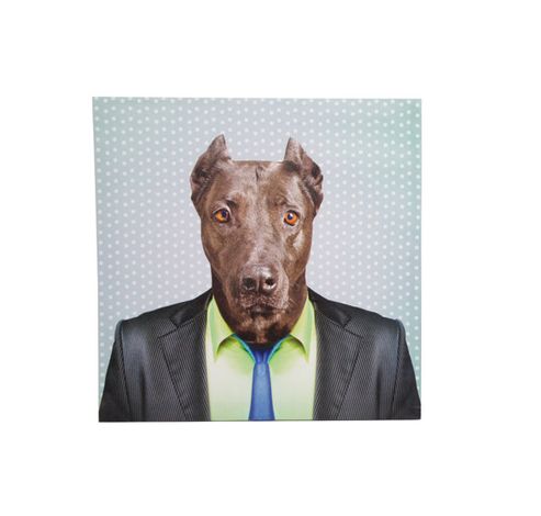 CANVAS DOG MAN 40X1.8X40CM  Cosy & Trendy