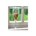 Wijnglas D13xh50cm Transparant  