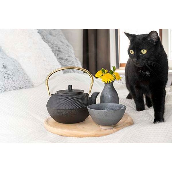 Cosy & Trendy Shinto Black And Gold Theepot  1.2l Handvat Goud