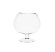 Verres à digestif