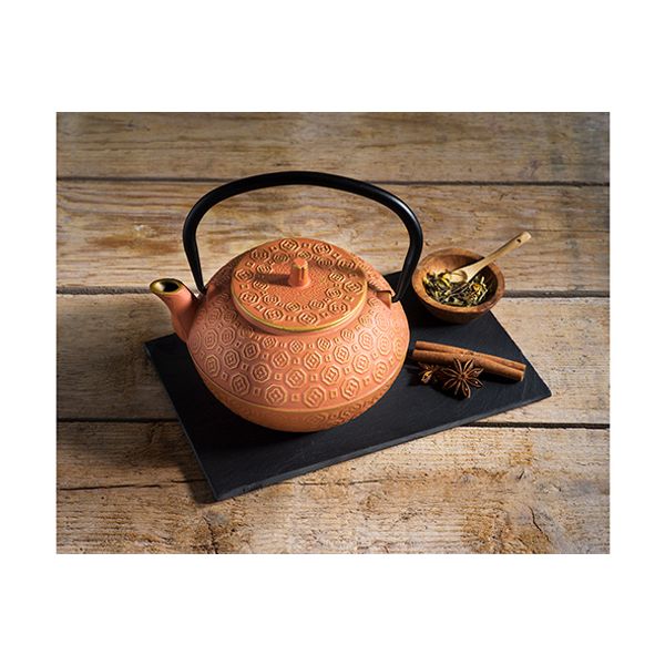 Takayama Theepot Terracotta 1,2l Gietijzer 