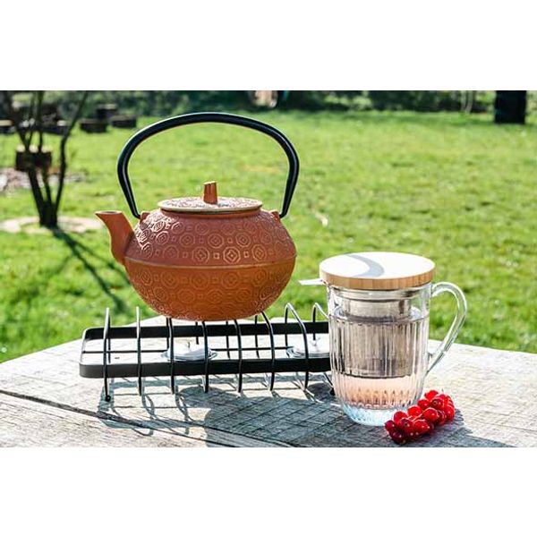 Cosy & Trendy Takayama Theepot Terracotta 1,2l Gietijzer