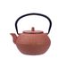 Takayama Theepot Terracotta 1,2l Gietijzer 