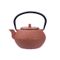 Takayama Theepot Terracotta 1,2l Gietijzer 