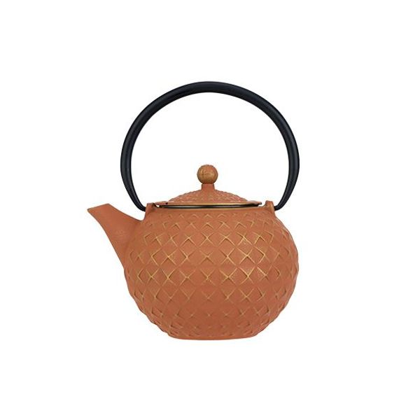 Sakai Theepot Goud-terracotta 1l Gietijzer 