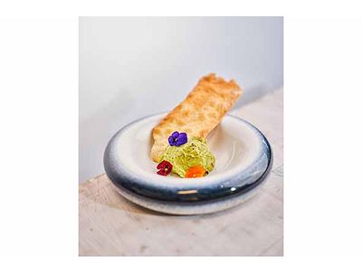 Torus Cove Schaal D28xh6cm 