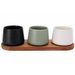 Cosy & Trendy Bites Aperoset 4pcs - Serveerplank 30x10cm + 3x Bowl D9x7cm