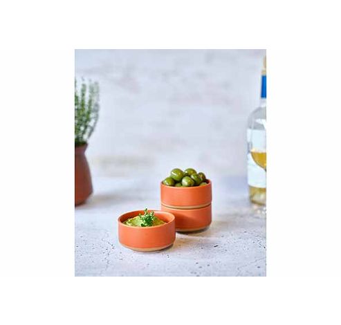 Dela Bowl Set3 D10,5xh5cm Terracotta   Cosy & Trendy