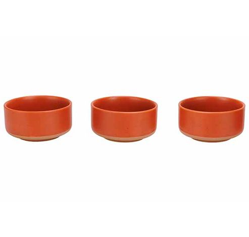 Dela Bowl Set3 D10,5xh5cm Terracotta   Cosy & Trendy