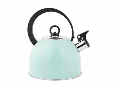 Fluitketel Groen 1,7l D18xh21,5cm Roestvrij Staal - Nylon Handvat