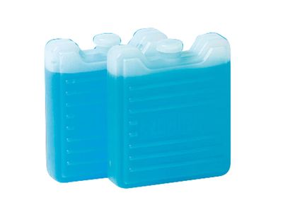 Thermos Koelelement Set2 100gr 8x7x2,3cm 