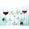 Versailles Wijnglas 27,5cl Set6  