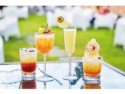 Macassar Wijnglas 25cl Set6 