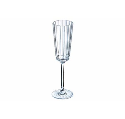 Macassar Champagneglas 17cl Set4 D6,1xh23,3cm  Cristal d'Arques