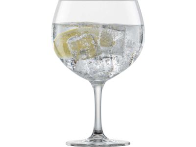 Bar Specials Gin-Tonic 2 stuks