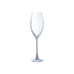 Grand Cepage Champagneglas 24cl  Set6  