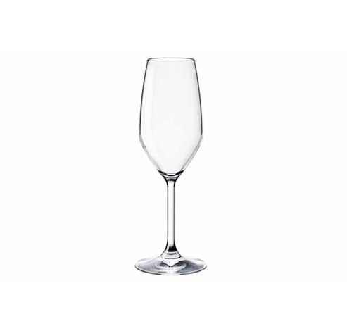 Vino Verre Champagne 24cl Set4 D7,5xh21,3cm  Bormioli Rocco