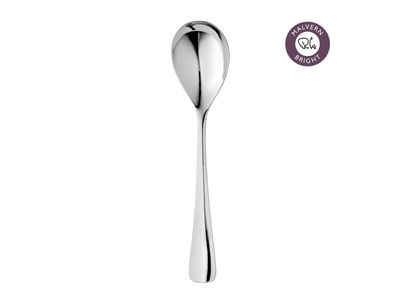Malvern serveerlepel uit rvs 25.2cm