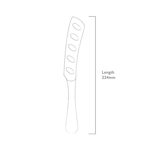 Radford couteau pour fromages doux - poignée cr. - inox 22.5cm  Robert Welch