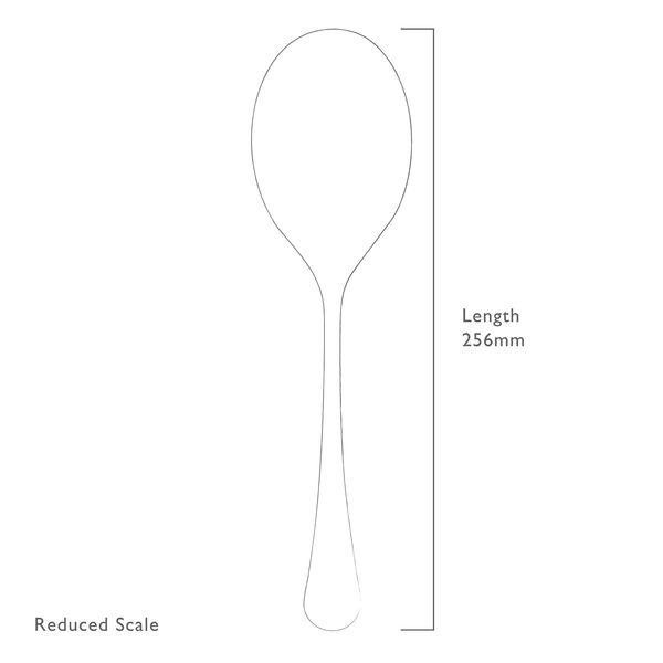 Radford rijstlepel uit rvs 25.7cm 