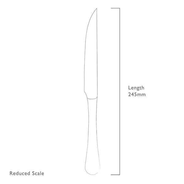 Radford steakmes uit rvs 24.9cm 