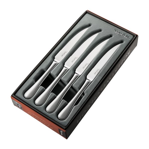 Radford set van 4 steakmessen uit rvs 24.9cm 