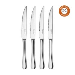 Radford set van 4 steakmessen uit rvs 24.9cm 