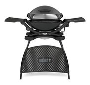 Barbecues électriques 