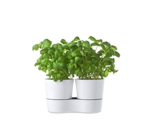 Twin Pot hydro pour herbes aromatiques Nordic blue  Mepal