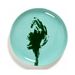 Serax Feast tableware by Ottolenghi Voorgerecht bord M 22,5cm H2cm Azure Artisjok Groen