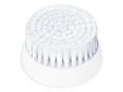 Brosse de rechange Regular FC48